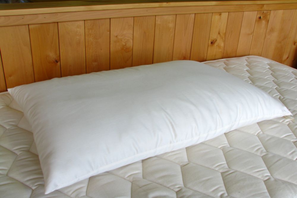 https://www.riverpineoutlet.com/cdn/shop/products/premium-eco-wool-filled-bed-pillow-on-bed.jpg?v=1676925849&width=1000